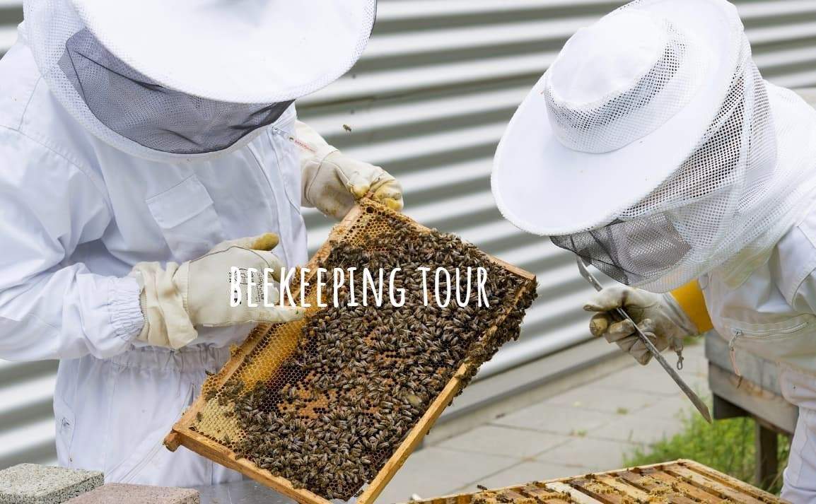 beekeeping tour