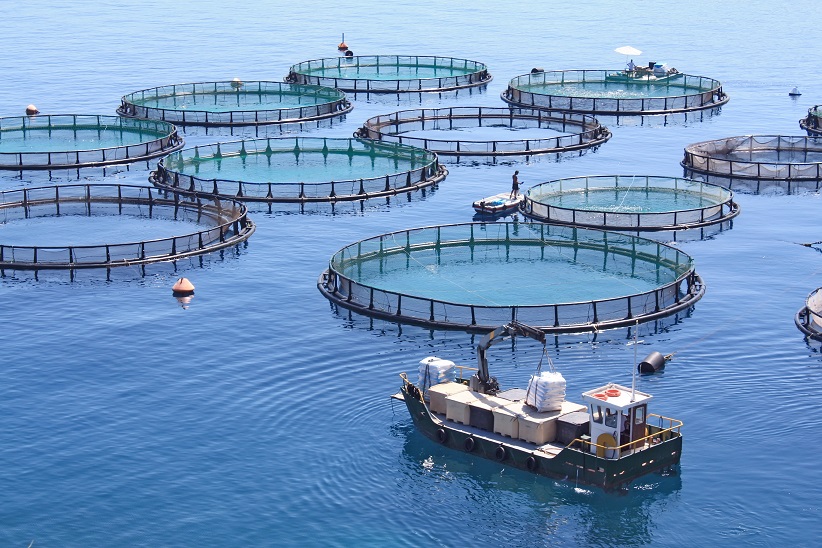 ATC Supervisor Aquaculture module and MBrick controller can monitor and manage fish cages