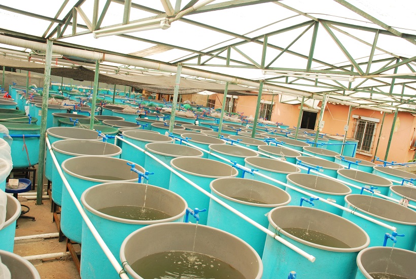 ATC Supervisor Aquaculture module and MBrick controller can monitor and control fish tanks