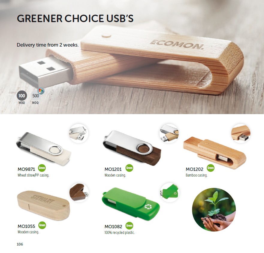 ECO Bamboo USB's