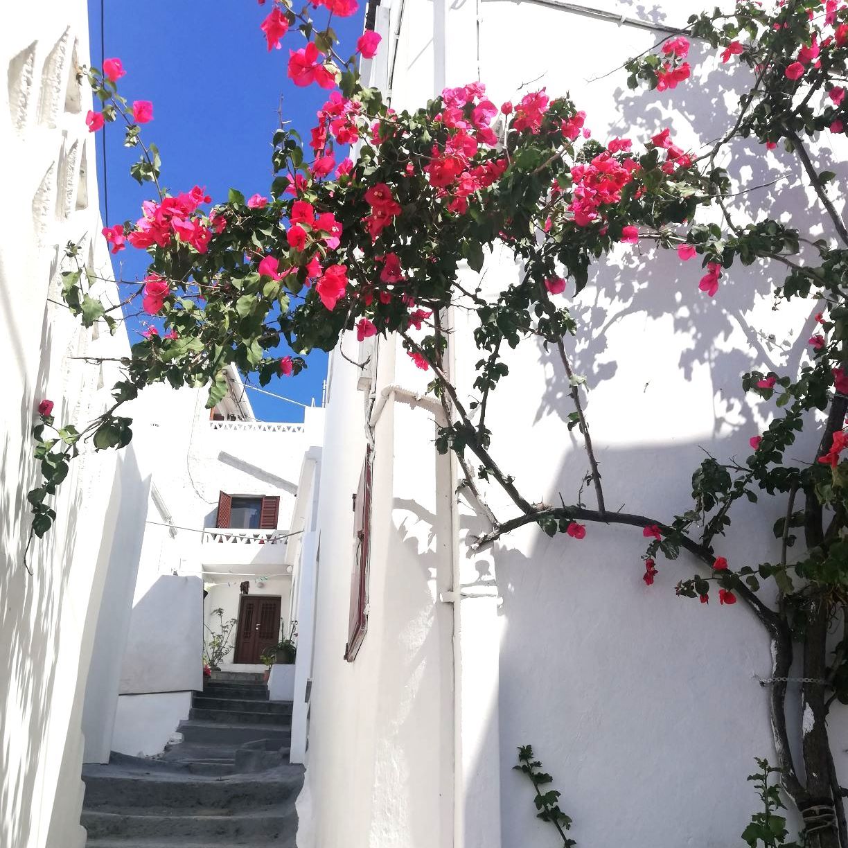 Colourful alley in Skyros Town