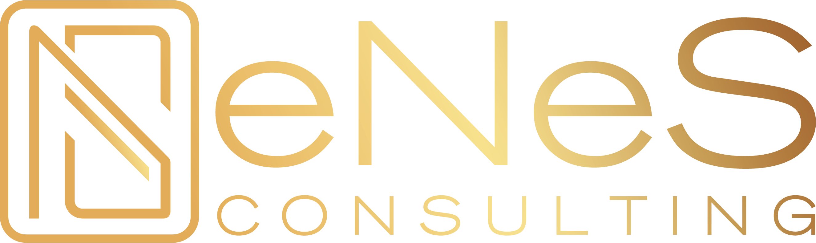 eNeS Consulting