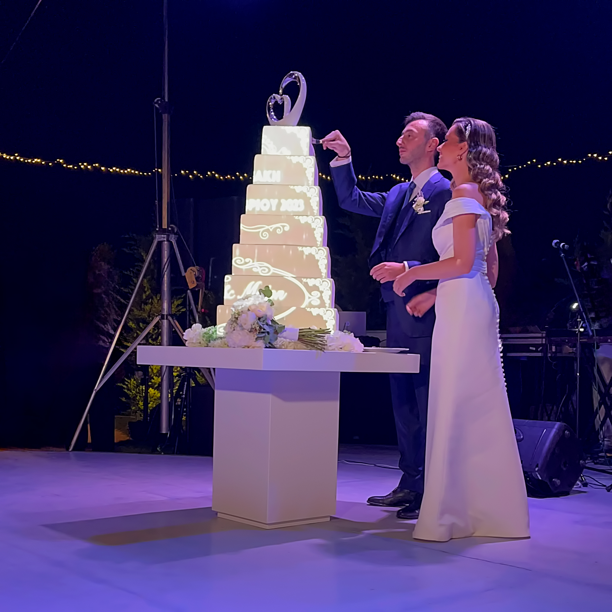 3d Projection Mapping on a cake