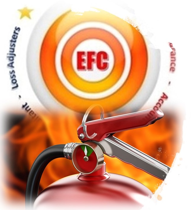 EFC FIRE TRAINING & WORKSHOP