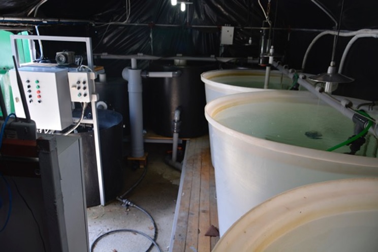 Aquaculture system overview