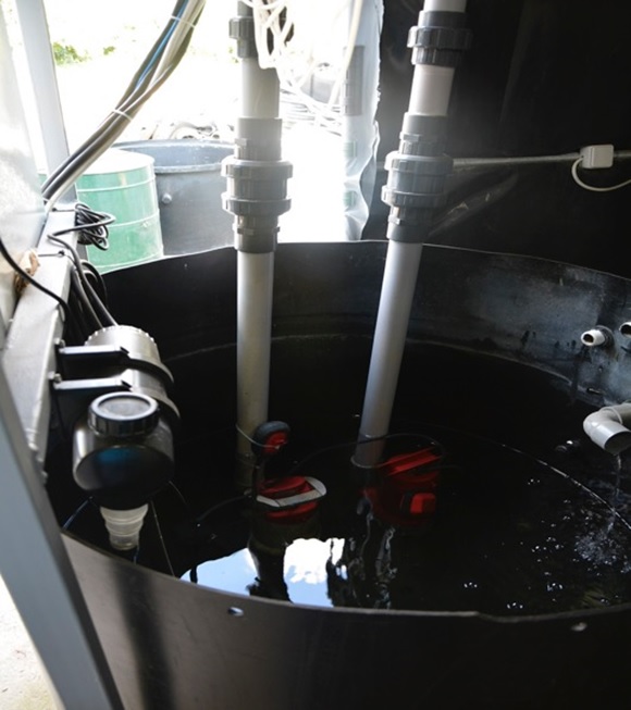 UV filter in sump tank with primary and backup pumps